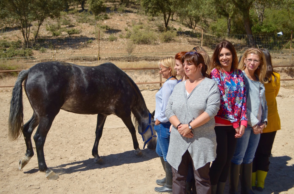 Conocer y Observar al caballo. 06-2017