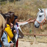 Conocer y sentir a los caballos. 06-2017.